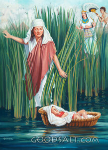 Baby Moses Found by Princess