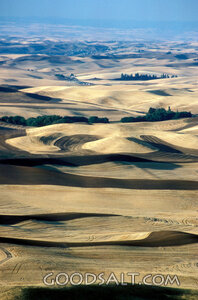 Harvest Fields Over Rolling Hills