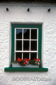 Cottage Window with Flower Box