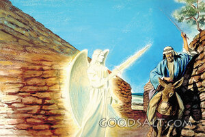 Balaam's DOnkey