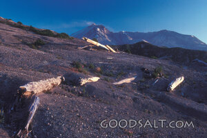 Volcanic Wilderness Slope