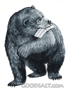 Bear From Daniel's Prophecy