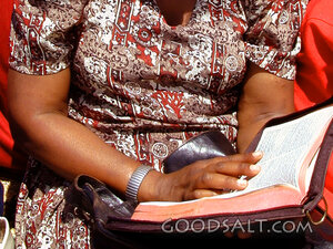 Woman Reading the Holy Bible