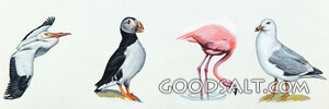 Birds in Eden