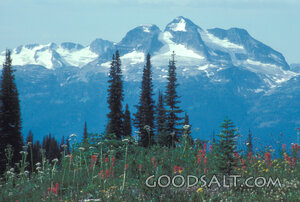 Snow-Capped Peaks of Creation