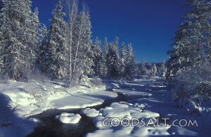 Snow-Covered Creek in Winter Forest