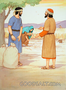 Boaz Asks About Ruth