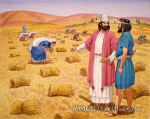 Boaz Helps Ruth