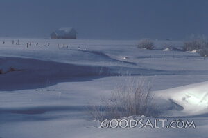 Silent Snowfield Farm