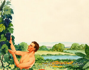 Adam Among the Fruit of Eden