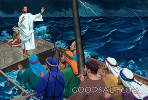 Calming the Storm