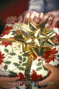 Christmas Gift with Golden Bow