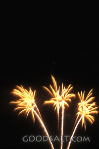 Golden Fireworks in the Night Sky