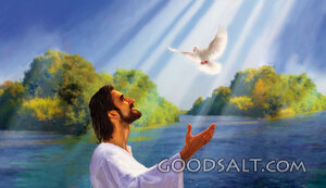 Christ's Baptism - Wide