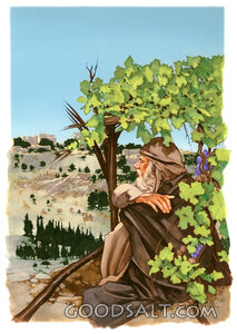 Jonah Under the Vine