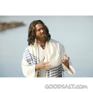Jesus Teaching by the Lake