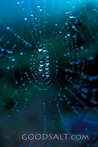 Cool Blue Web Site