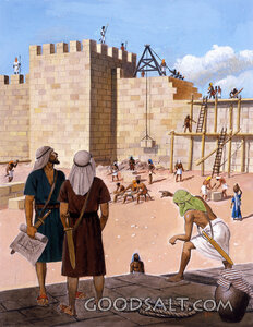 Cooperation Builds a Wall