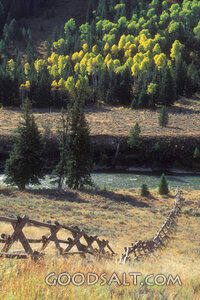 Pasture Beside Still Waters