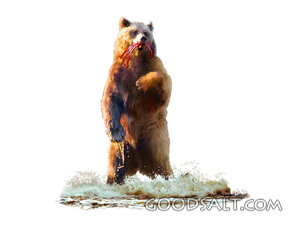 Dan 7 Bear Beast on White