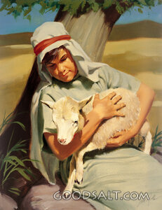 David and the Sheep