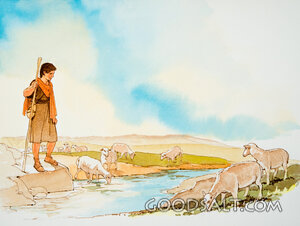 David: Shepherd Boy
