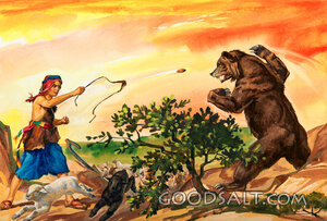 David the Shepherd - Killing the Bear