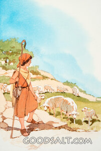 David's Flock