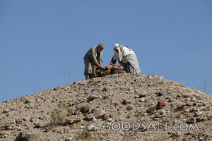 Elijah Repairs the Altar