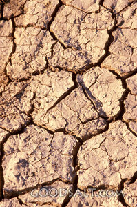 Parched Ground in the Wilderness