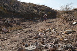 Sojourner in the Wilderness