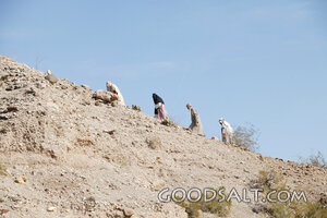 Sojourners in the Wilderness