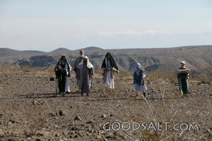 Sojourners Across the Wilderness