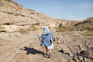 Shepherd in the Wilderness