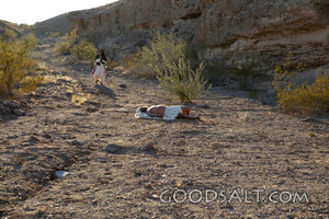 The Good Samaritan on the Jericho Road