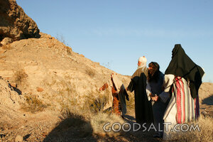 Judgment in the Wilderness