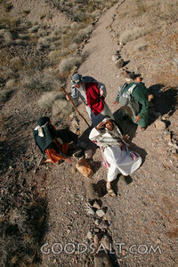 Saul Falls on the Damascus Road