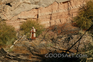 Israelite Wanderer in the Wilderness