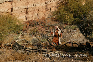 Israelite Wanderer in the Wilderness