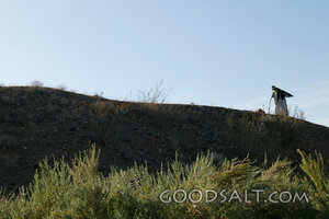 Israelite Traveler on the Wilderness Ridge