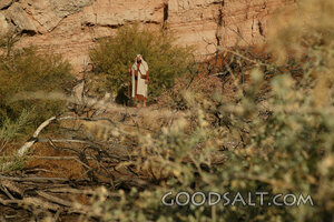 Israelite Wanderer in the Wilderness