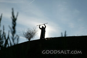 Moses Raises the Staff