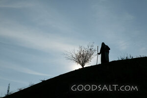 Abraham Walks by Faith