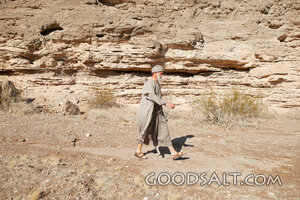 Walking in the Wilderness