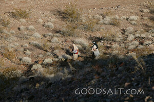 Sojourners in the Wilderness