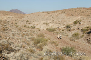 Hagar and Ishmael in the Wilderness