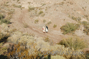 The Road to Emmaus
