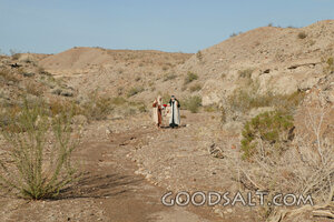 Abram Journeying Through the Wilderness