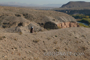 Israelite Traveler in the Wilderness