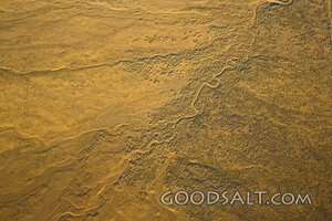 Desolate Earth Patterns